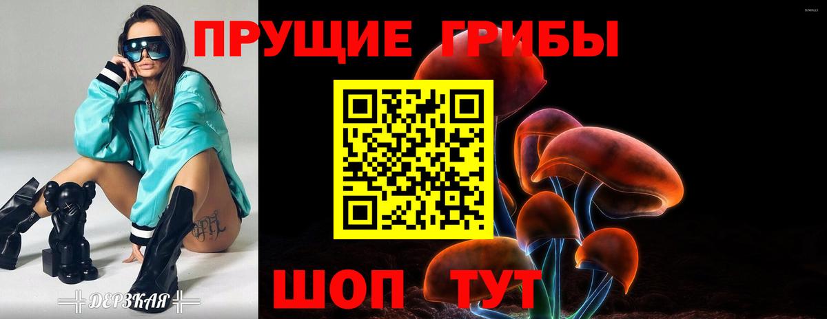 Галлюциногенные грибы Cubensis Самара